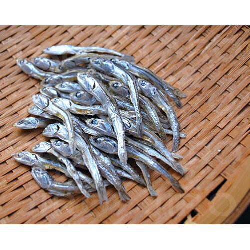 �ڥ��������饤���� 2���ޤ� ����290�ߡۡ���͵����ʡۥɥåȤ�� ���δ������亮 8g ����� �ȥåԥ󥰡�����Բ�/Ʊ���Բ�/��ŵ�оݳ���