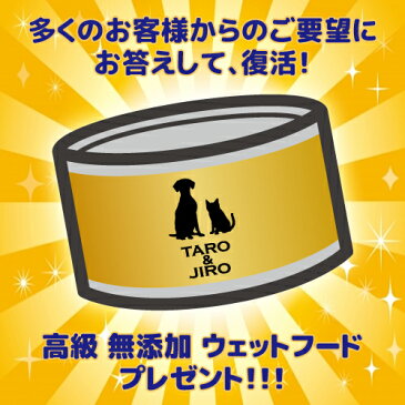 ニュートロ ワイルドレシピ 超小型犬〜小型犬用 成犬用 ラム 4kg×4袋 穀物不使用 穀物フリー 仔羊肉【全国送料無料】