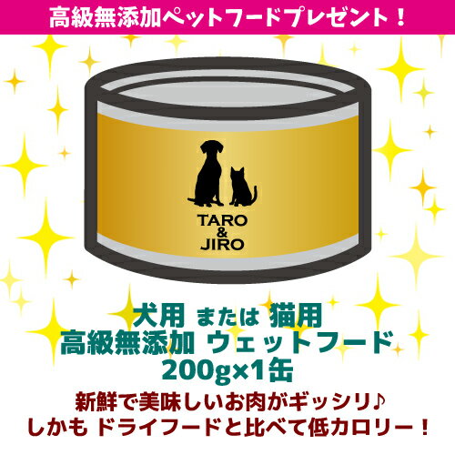 【プレゼント対象品】Pet-Cool ペットクール 犬 猫 兼用 おやつ【エアドライ ホース 熊本馬肉】40g×3袋 国産 手作りごはん トッピング 無添加 無調味【送料無料(沖縄/離島は除く)】