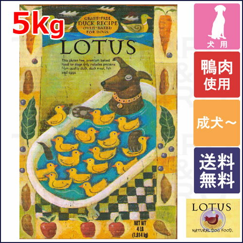 ★17年8月度月間優良店受賞★今だけオーガニック缶詰(ダック)2個おまけ★LOTUS(ロータス)グレインフリー ダックレシピ 成犬用 ドライ 5kg【ポイント17倍】【送料無料(一部地域除く)】 ★17年8月度月間優良店受賞★今だけオーガニック缶詰(ダック)2個おまけ★LOTUS(ロータス)グレインフリー ダックレシピ 成犬用 ドライ 5kg【ポイント17倍】【送料無料(一部地域除く)】