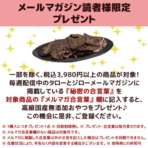 アボ ダーム ドッグ ラム＆ライス 2kg 全犬種 成犬用ドライフード アボカド 仔羊肉 小麦不使用 【500g×4袋の小分け】