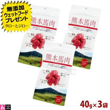 【プレゼント対象品】Pet-Cool ペットクール 犬 猫 兼用 おやつ【エアドライ ホース 熊本馬肉】40g×3袋 国産 手作りごはん トッピング 無添加 無調味【送料無料(沖縄/離島は除く)】