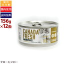 【ポイント5倍】【選べるおまけ付】ペットカインド 猫用 ウェットフード カナダフレッシュ チキン 156g×12缶 全年齢用 総合栄養食 パテタイプ 鶏肉 高タ...