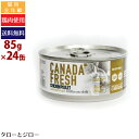 【ポイント5倍】【選べるおまけ付】ペットカインド 猫用 ウェットフード カナダフレッシュ チキン 85g×24缶 全年齢用 総合栄養食 パテタイプ 鶏肉 高タン...