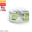【選べるおまけ付】ペットカインド 猫用 ウェットフード カナダフレッシュ ビーフ 85g×12缶 全年齢用 総合栄養食 パテタイプ 牛肉 高嗜好性 水分補給 カ...