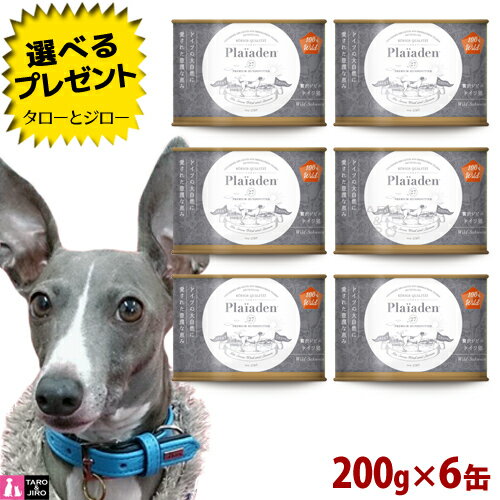 プレイアーデン 犬用 ウェットフード 100%Wild 贅沢ジビエ ドイツ猪 200g×6 全犬種 全年齢用 高級総合栄養食