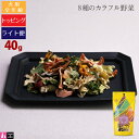 【タロジロライト便 2点まで 送料290円】タネンバウム ベジグルメ 8種のカラフル野菜 40g トッピング【代引不可/同梱不可/特典対象外】