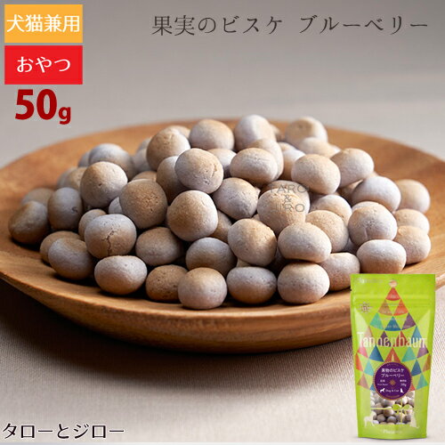 タネンバウム 果物のビスケ ブルーベリー 50g トリーツ