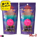 【選べるおまけ付】タネンバウム 極上 馬すじ 馬肉巻き 50g×2 犬用 ジャーキー