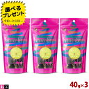 【選べるおまけ付】タネンバウム まぐろフィレ 40g×3 ジャーキー
