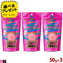 【選べるおまけ付】タネンバウム 紅鮭キューブ 50g×3 トリーツ