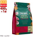 TRIBAL gCo tbV_bN XLu 400g p hCt[h OCt[ sgp hbOt[h