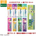 ビバテック シグワン 犬用 猫用 液体 歯磨き 20ml + 選べる 歯ブラシ 1本セット ハミガキサプリR フルボ酸エキス|詳細画像