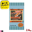 【ポイント10倍】【選べるおまけ付】ウェルカムホーム 犬用 グレインフリーフィッシュレシピ ドライフード 2.4kg (400g×6袋)