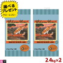 【ポイント10倍】【選べるおまけ付】ウェルカムホーム 犬用 グレインフリーフィッシュレシピ ドライフード 2.4kg (400g×6袋) ×2