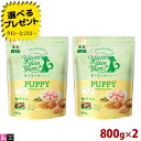 【選べるおまけ付】ヤムヤムヤム! パピー Happiness plus+ 800g×2 子犬用 ドライフード プレミアム ドッグフード
