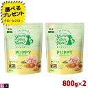 【選べるおまけ付】【新発売】ヤムヤムヤム！ パピー Happiness plus＋ 800g×2 子犬用 ドライフード プレミアム ドッグフード