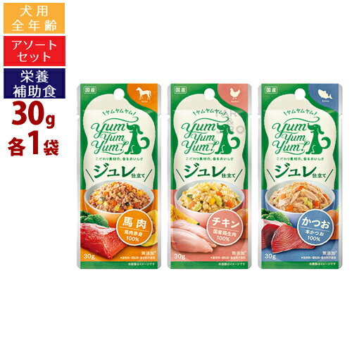 ヤムヤムヤム！ ジュレ仕立て 3種 アソートセット 30g×各1袋 (チキン / 馬肉 / かつお) 栄養補助食 トッピング