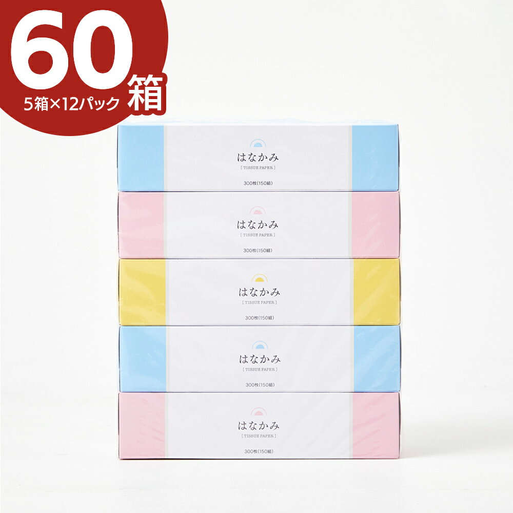 【店内全品ポイント5倍！5/19 23:59まで！】【60箱】ティッシュ 5箱×12パック【ケース販売】生活雑貨