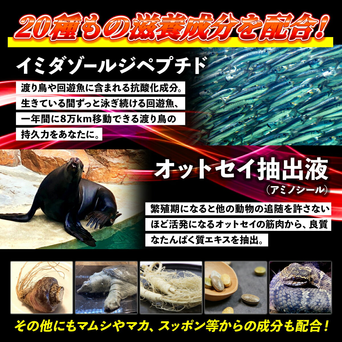 アルファブル ブラックショット α-BULL BLACK SHOT 50ml 国内GMP認定工場 男性向け...