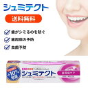 シュミテクト 歯周病ケア 歯周病 歯磨き粉 知覚過敏 99g 1本~20本セット / 薬用シュミテクト 90g 10%増量中