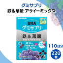 UHA味覚糖 グミサプリ 鉄&葉酸 アサイーミックス 110日分 220粒 ユーハ ユーハ味覚糖 グミ コラーゲン サプリメント 栄養補給 人工香料不使用(4)