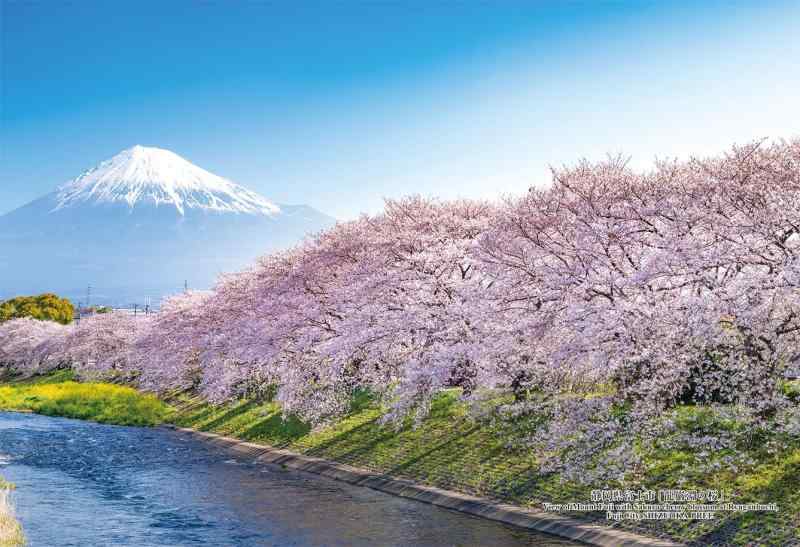 キューティーズ(Cuties) 【日本製】 300ピース ジグソーパズル 日本の都市86 静岡県富士市「龍巌淵の桜」 (26x38cm) 300-442 のり付き スポンジ付き