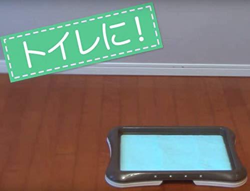 カモス 自然由来 オシッコ・ウンチ汚れスッキリ ペット周りのお掃除クリーナー フリロン 380ml