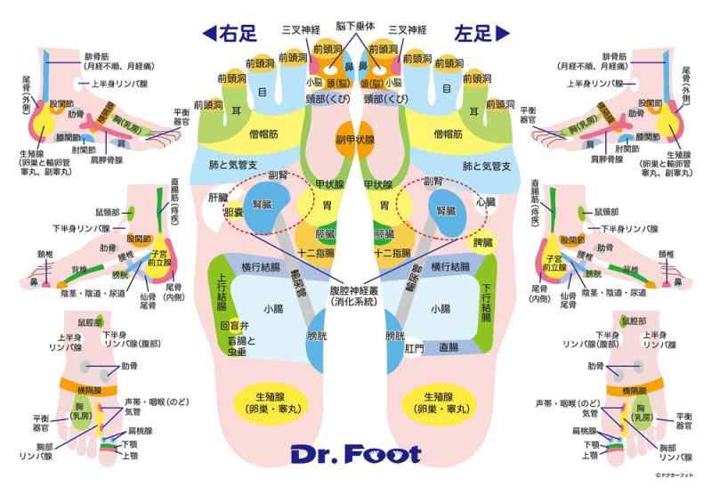 300ピースジグソーパズル 足つぼジグソーパズル