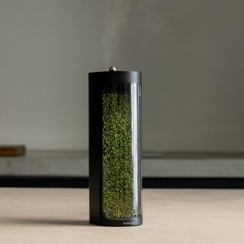 Mosslab Moss Air - Living Moss �ü��� | ��Ū&���å��� | �ޥ���ɥե�ͥ�&���� | ���������ñ ���⿢ʪ | �ƥ�ꥦ...