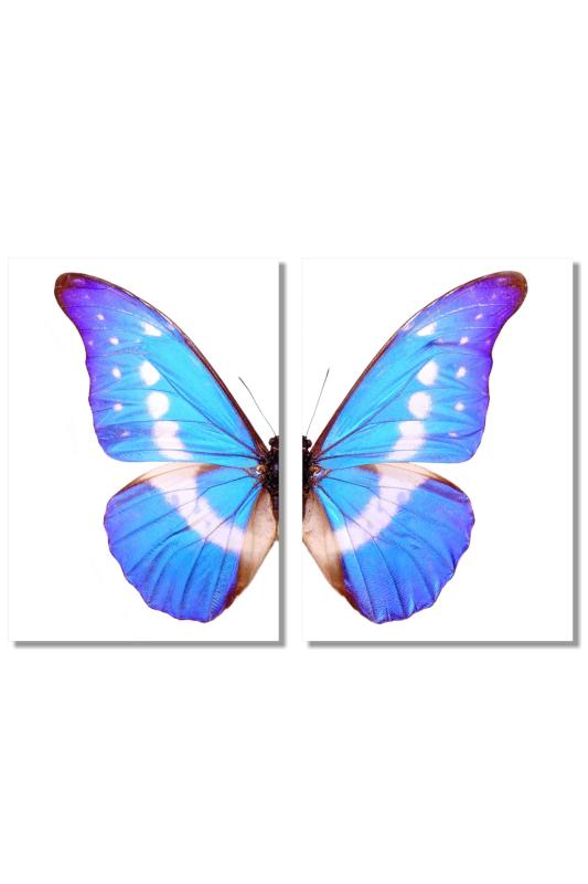 【繋がるアートポスター】ankley(アンクレー)アートポスター 蝶 A2 2枚セット インテリア おしゃれ 壁..