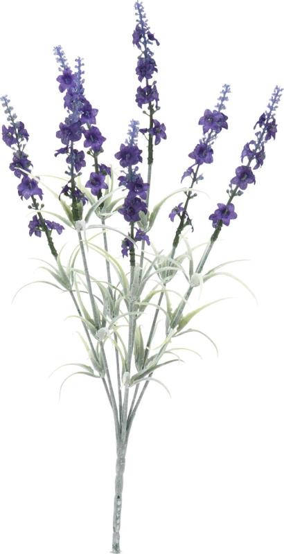 ポピー(Popy) ラベンダーブッシュ/パープル