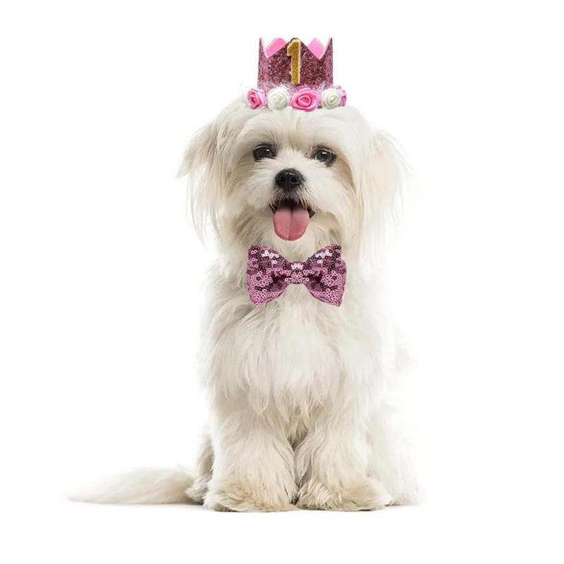 YBGGJO �ڥå���������˹�� 3�����å� �� ǭ�� �С����ǡ�˹�� ĳ�ͥ����� ���� �����դ� �����դ� ��ǰ�� ������ �ѡ��ƥ������� �ڥå� ˹��