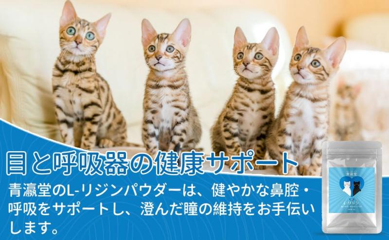 青瀛堂(せいえいどう)高純度 L-リジン猫用(20g) 与えやすい極細粉末タイプ 計量スプーン付き
