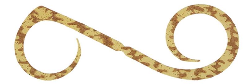 JACKALL(ジャッカル) ビンビンスイッチT+ネクタイ デュアルカーリー