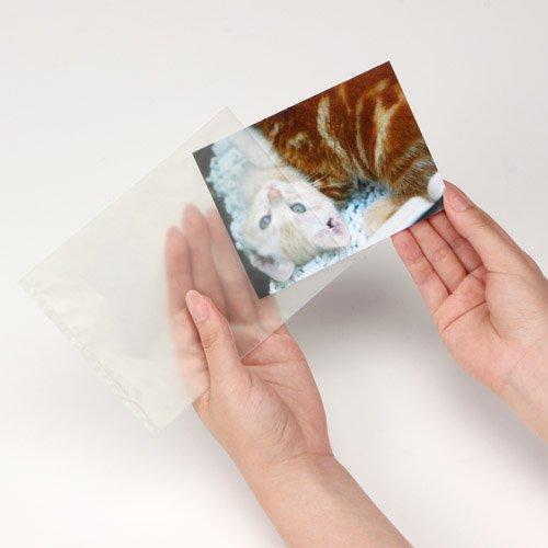 HAKUBA �̿��� ���硼��å�����