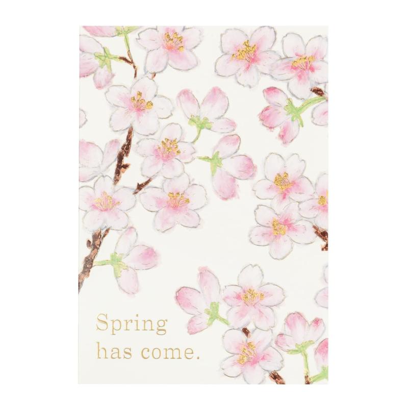 GreetingLife(グリーティングライフ) さくら アニバーサリー フラワーカード YZ-376