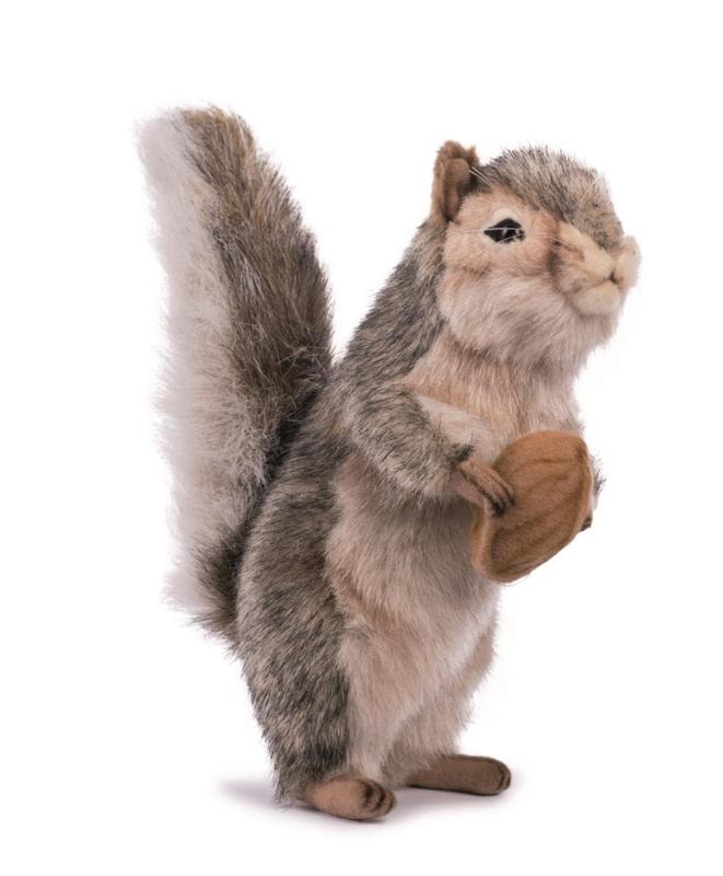 HANSA ハイイロリス No.4841