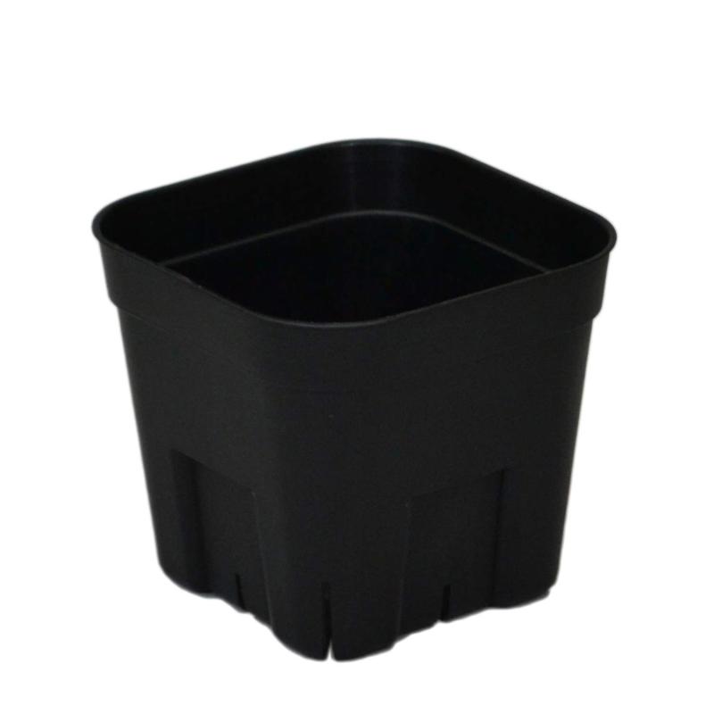 アップルウェアー プレステラ CADDY