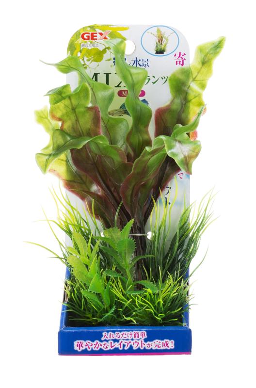 ジェックス 癒し水景 MIXプランツ M アポノ