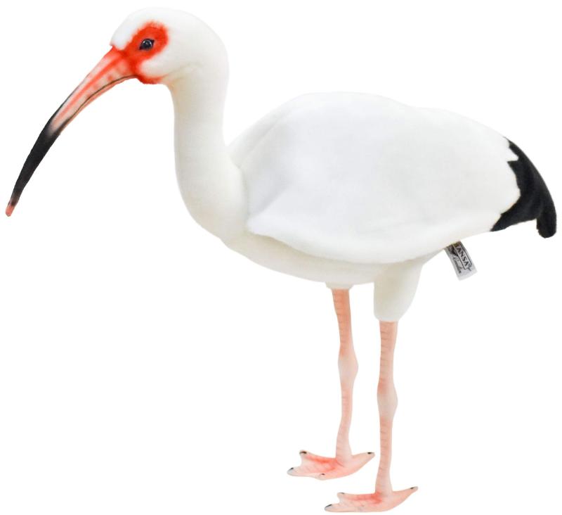 BH8192 HANSA シロトキ 54