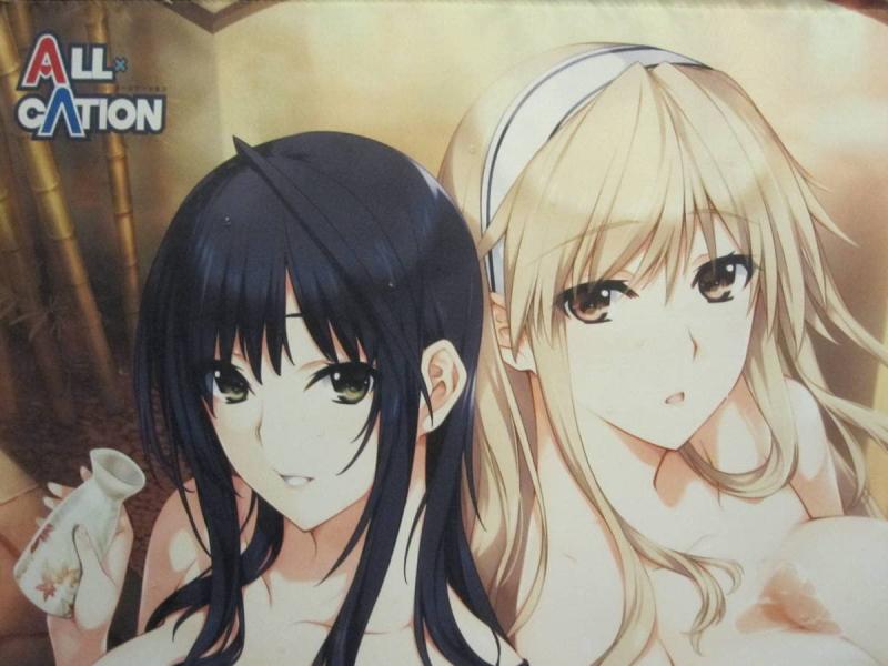 ALL×CATION ソフマップ特典 月岡三朝＆出水和琴 B2タペストリー 唯々月たすく hibiki works 1