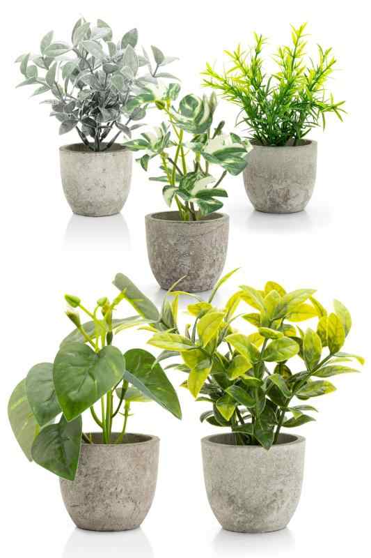 October1st フェイクグリーン 観葉植物 人工 5点セット 卓上用 光触媒加工 造花 インテリア 小物 ミニ indoor plants 人工植物 fake plant おしゃれ 緑 水やり不要 贈り物 ギフト 母の日 父の日 プレゼ
