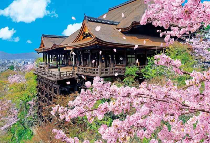 【日本製】ビバリー 1000ピース ジグソーパズル 桜咲く清水寺（49×72cm）1000-081