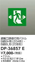 DP-36857E 大光電機 LED誘導灯用パネル 【パネルのみ】(3)