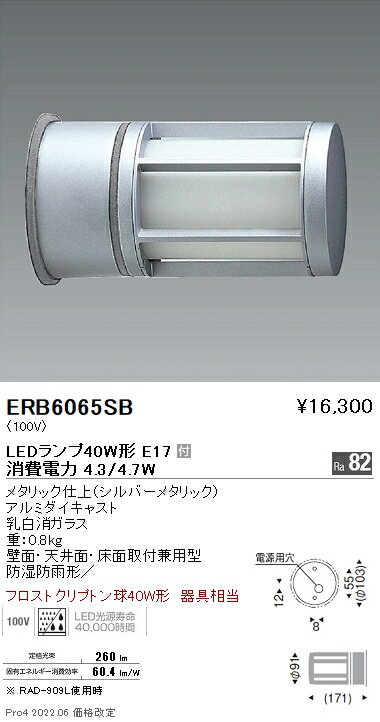 ERB6065SB 遠藤照明 アウトドアブラケットライト ガード付 φ100 E17【ランプ別売】