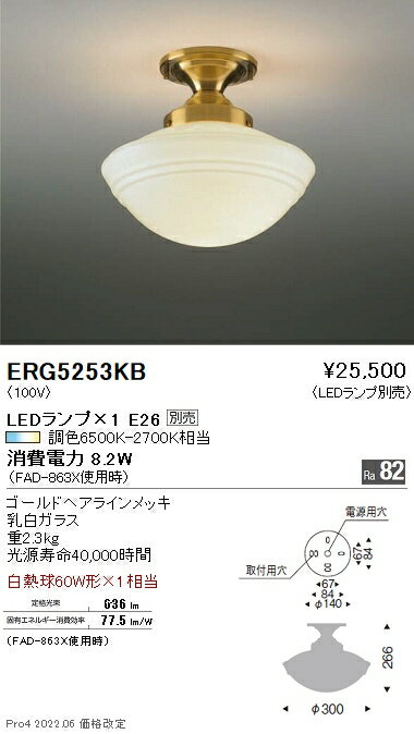 ERG5253KB 遠藤照明 シーリング【ランプ別売】
