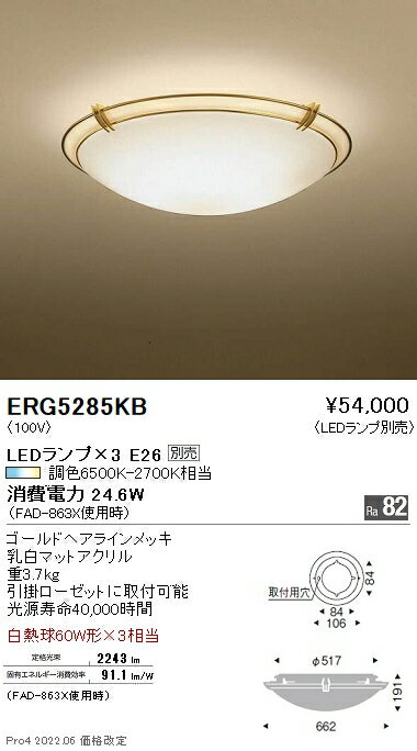 ERG5285KB 遠藤照明 シーリング【ランプ別売】(3)