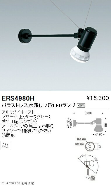 ERS4980H 遠藤照明 LEDZLAMP アウトドアスポット（看板灯） ランプ別売