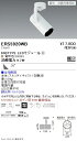 ERS5920WB 遠藤照明 COB スポットライト 900タイプ 3000K 広角 位相